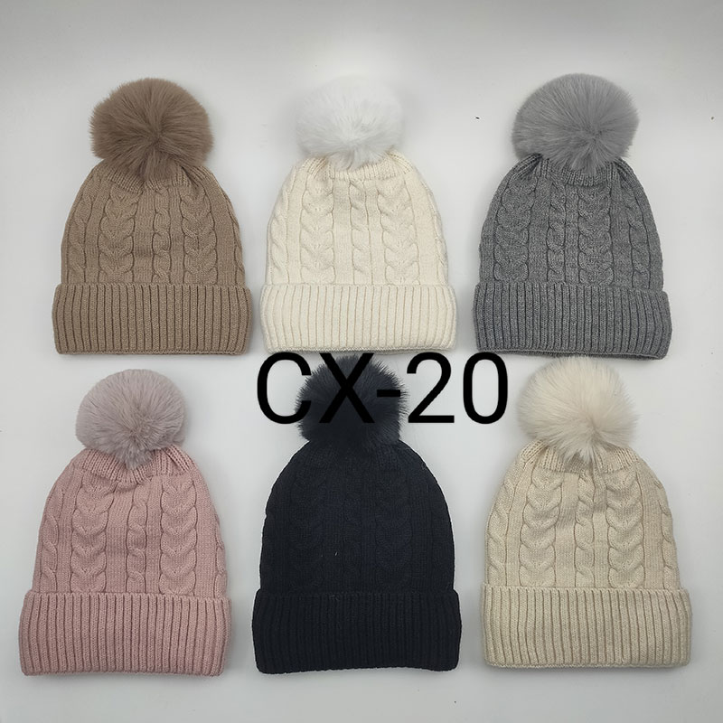 ��ӯCX-20